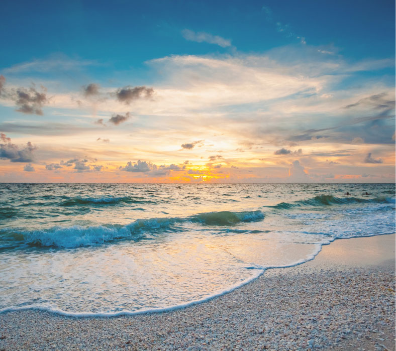 Fort Myers beach landscape